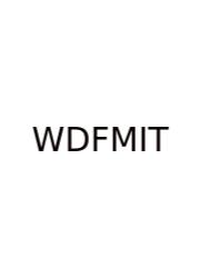 What Does Fwh Mean In Texting