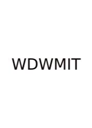 What Does Wt Mean In Text