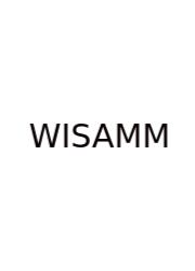 What Is S And M Mean
